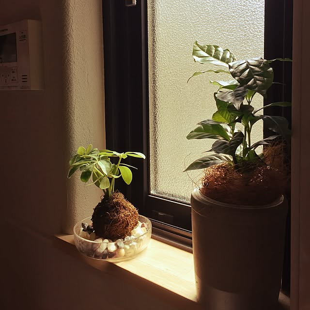 hi10miさんの実例写真