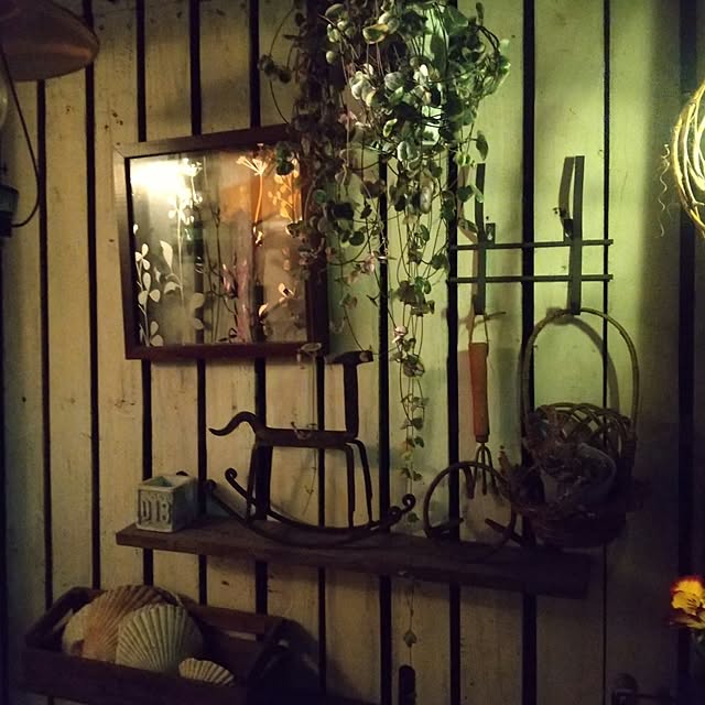 koyutan-mjmさんの部屋