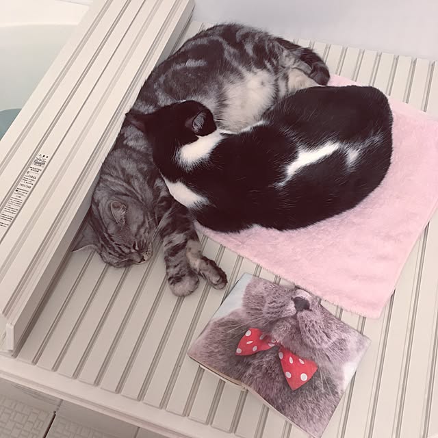 mikomaruさんの実例写真