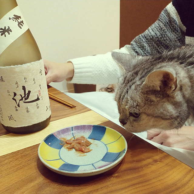 suisaiさんの実例写真