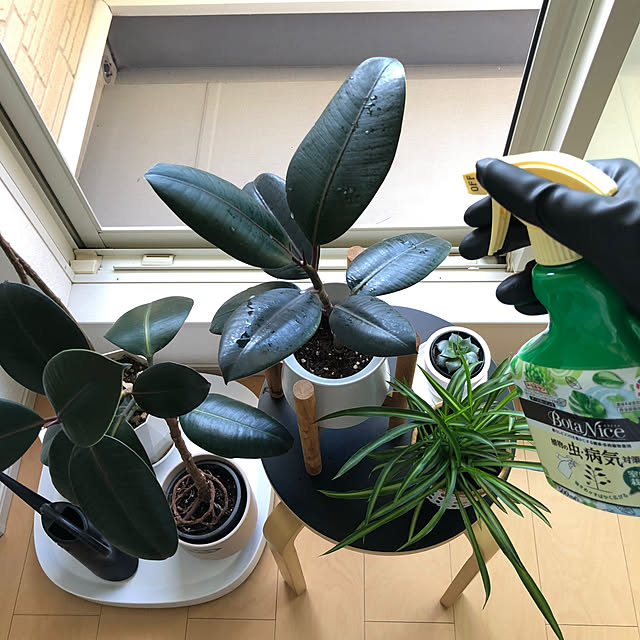 eriさんの実例写真