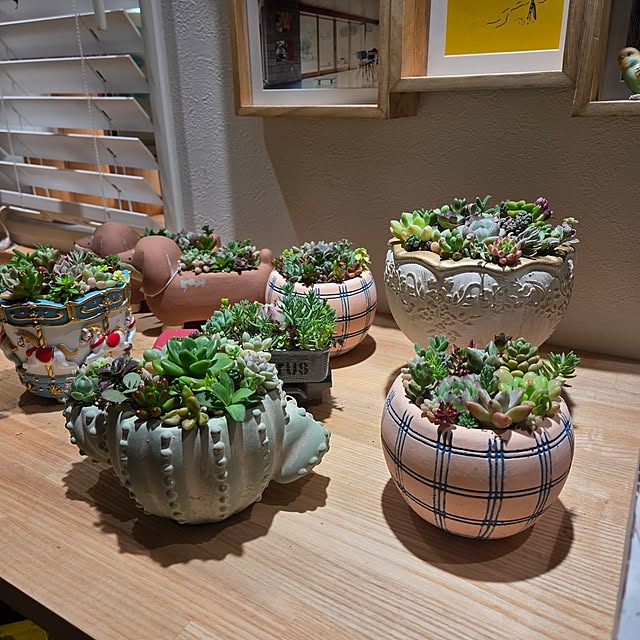 nonbiri_house_さんの実例写真