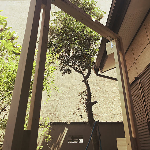 KAORIさんの実例写真