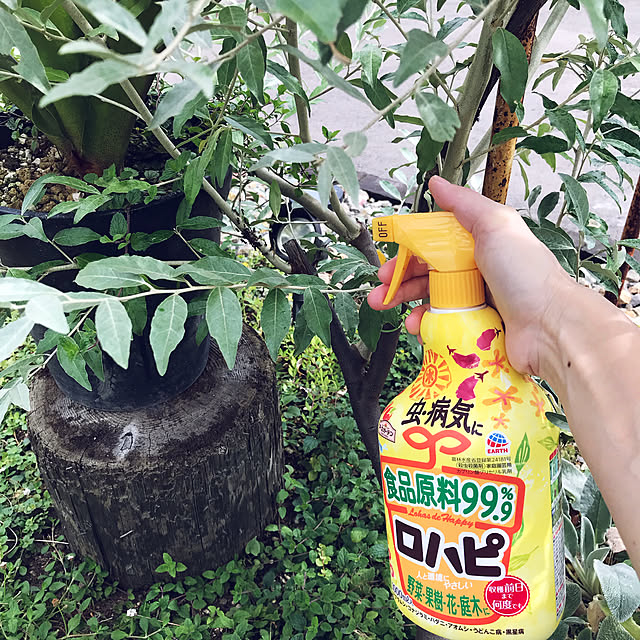 実例写真
