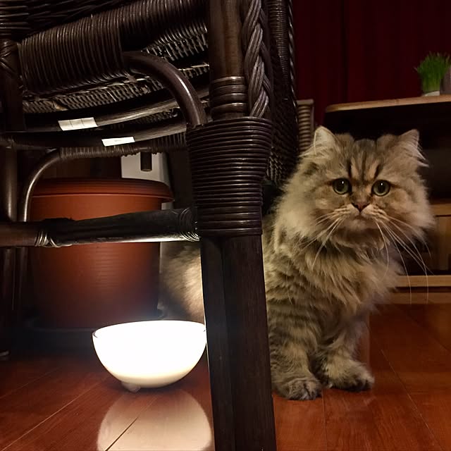 butachanさんの実例写真