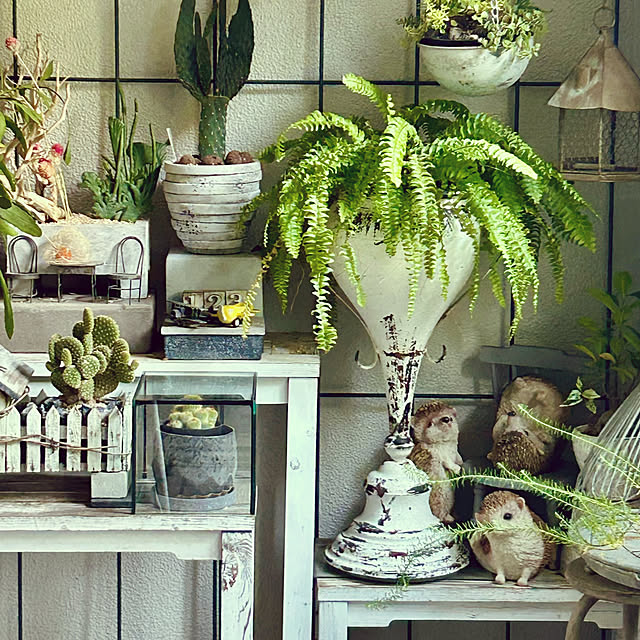 DAYONEさんの実例写真