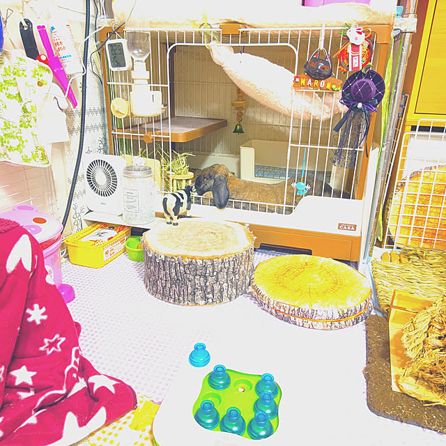 mariaさんの実例写真