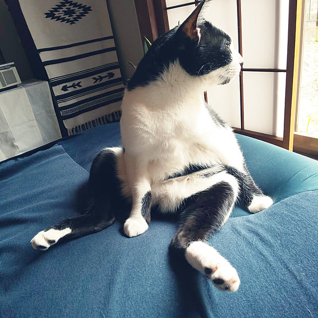 oseroさんの実例写真