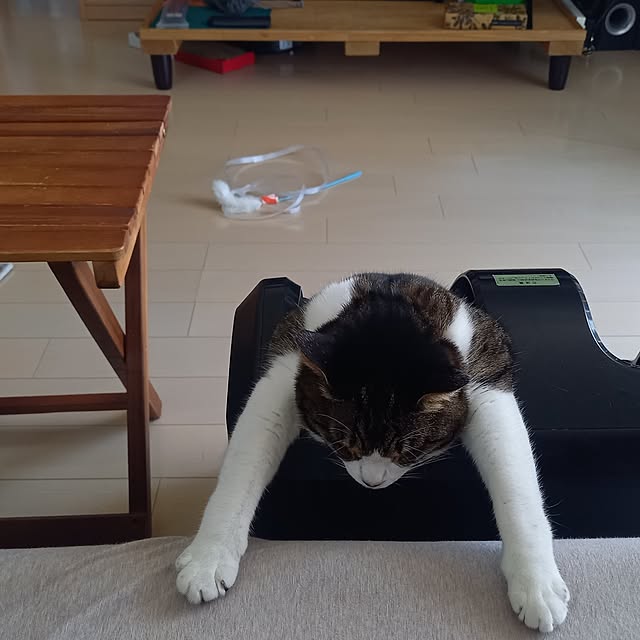 civicglさんの部屋
