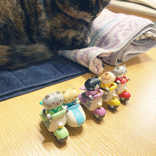 zinさんの実例写真