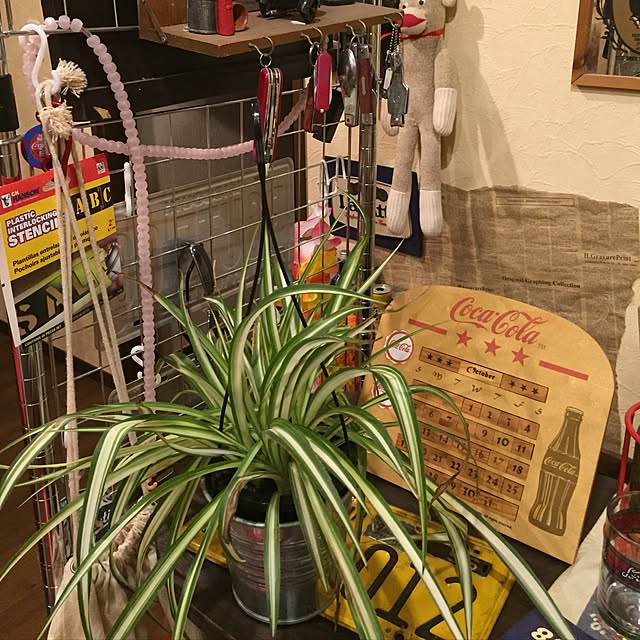 hirosatomioさんの実例写真