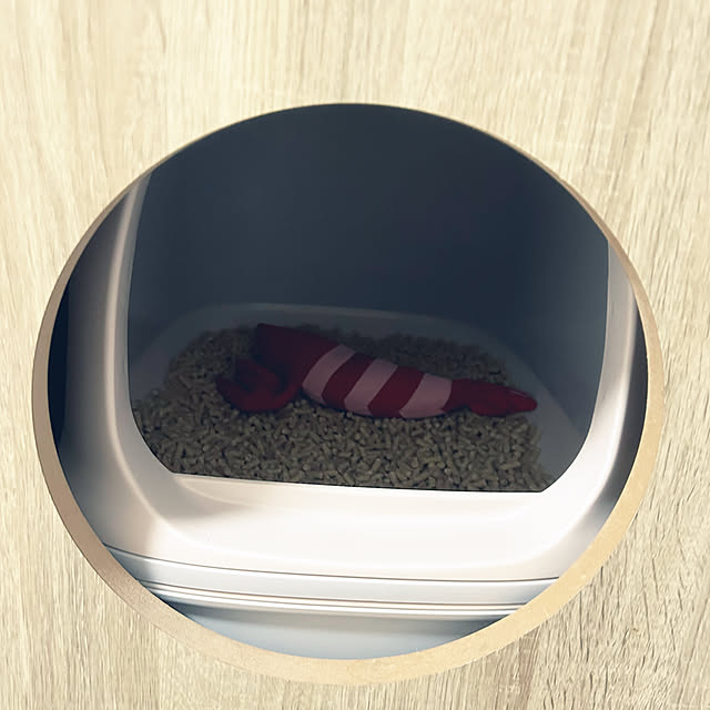 punさんの部屋