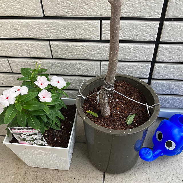 kirinsanさんの部屋