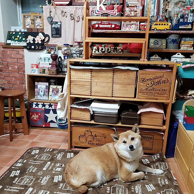 nanaさんの実例写真