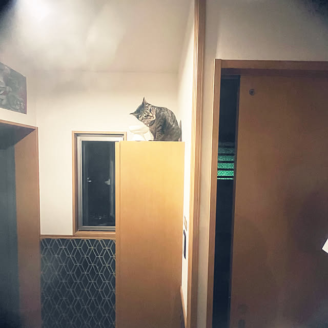 Mさんの実例写真