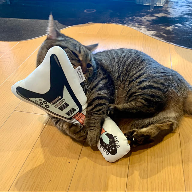 chihiroさんの実例写真