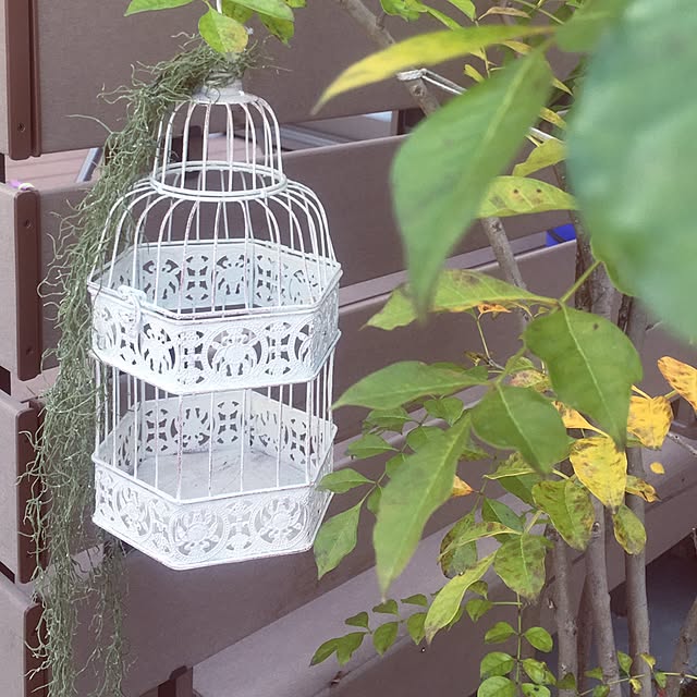 falkon7さんの実例写真
