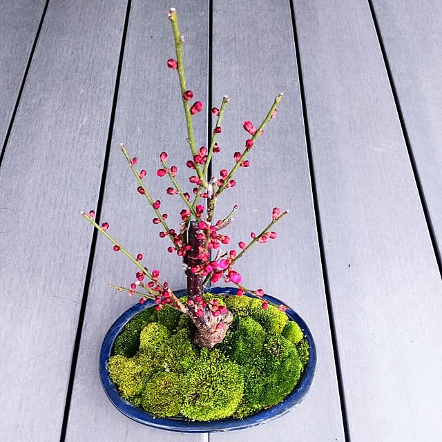 NSDさんの実例写真