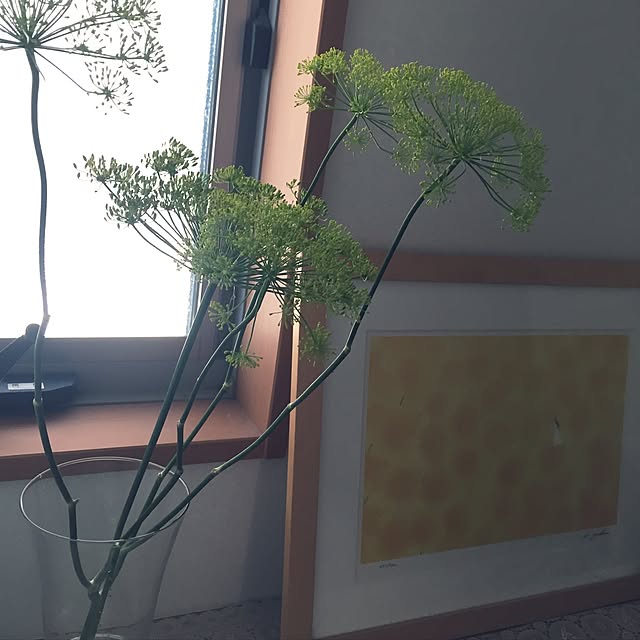 chie.n_n.さんの実例写真