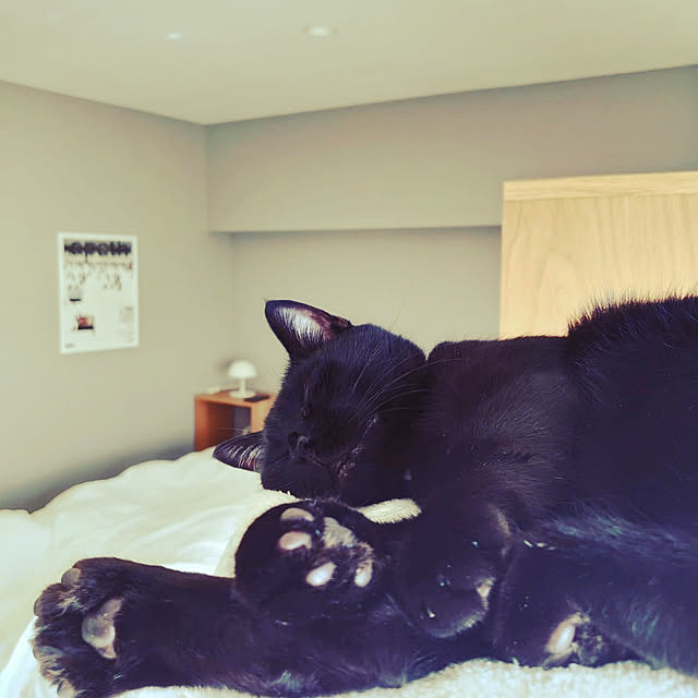 Blackcatさんの実例写真