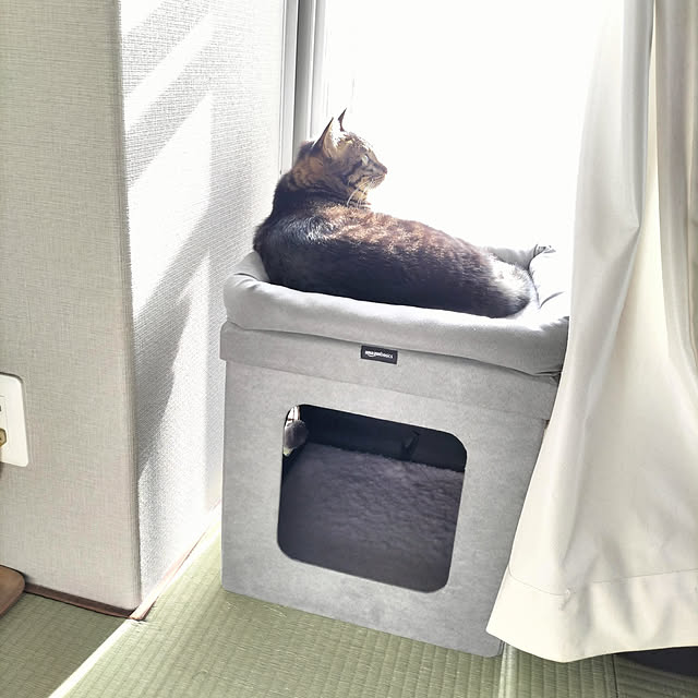 hihaさんの実例写真