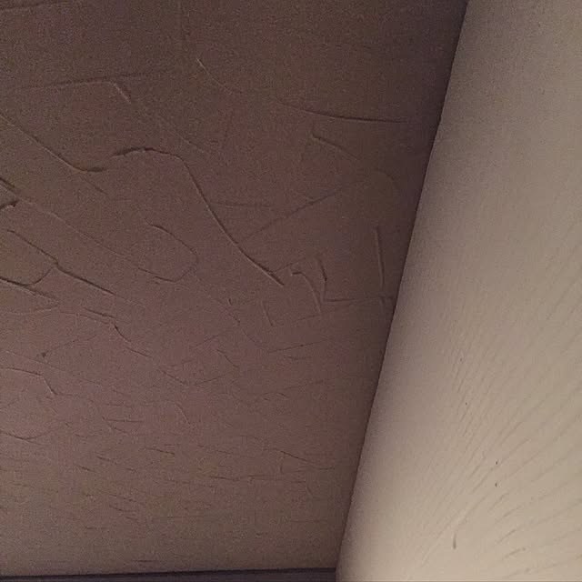 kou-onu0814さんの実例写真