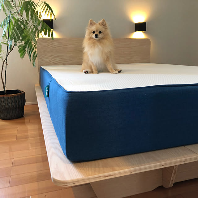 t.k.mさんの実例写真