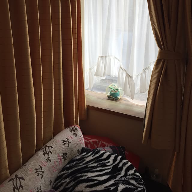 shunkiti_611さんの実例写真