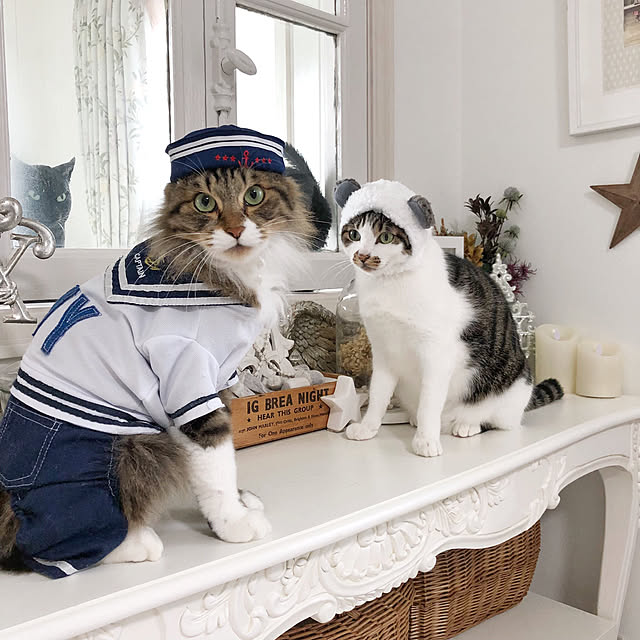 yuchiさんの実例写真