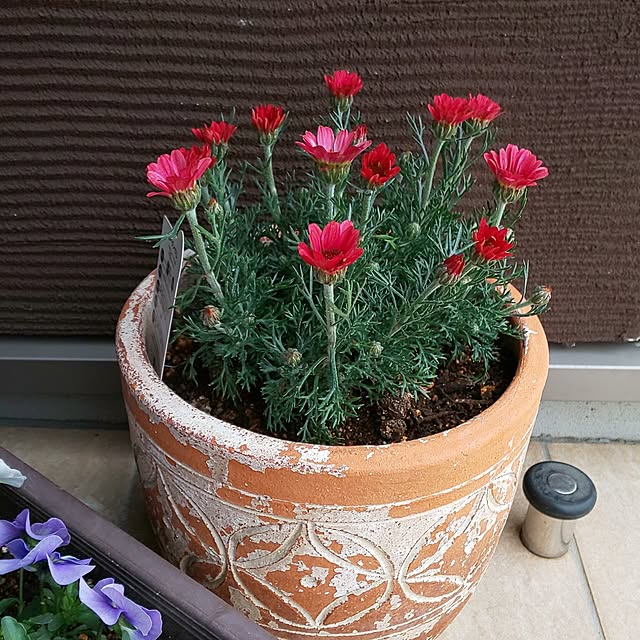 KOHAKUさんの部屋
