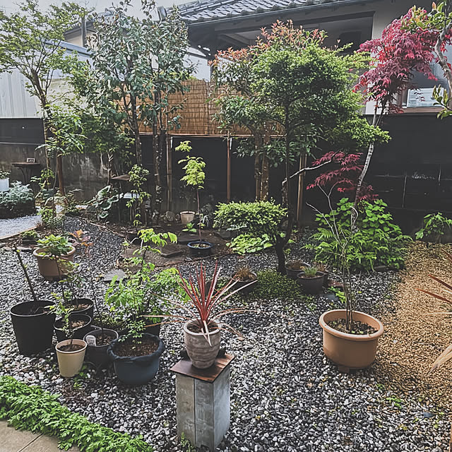 monoさんの部屋