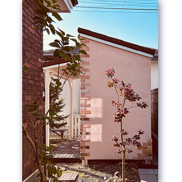 usagiさんの部屋