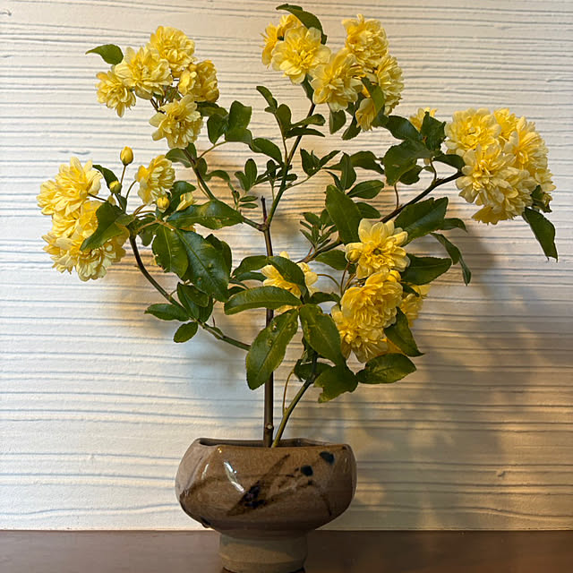 Nagakoさんの部屋