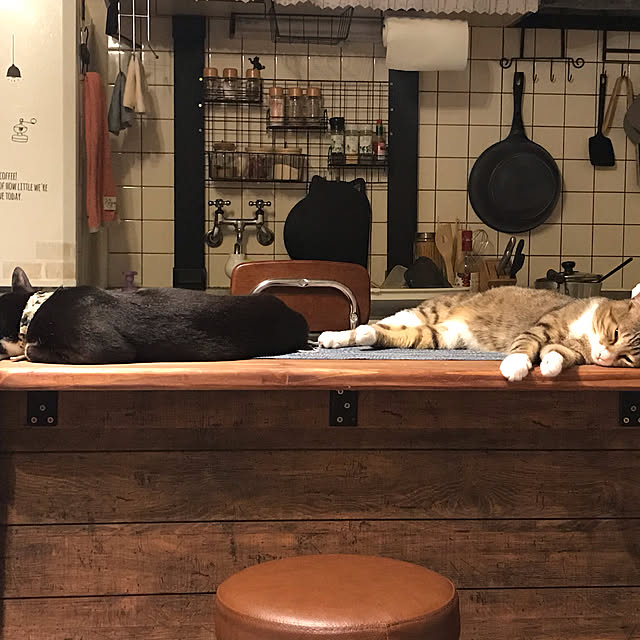 カフェ風/キッチンのインテリア実例 - 2020-11-15 14:44:41