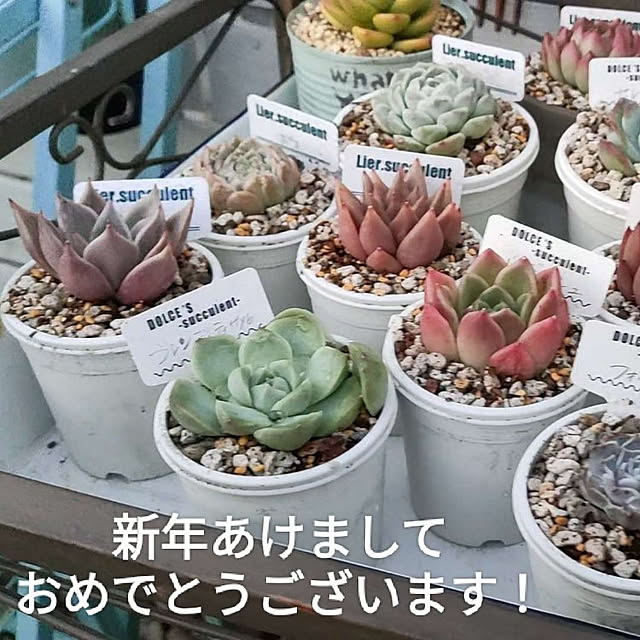 nene-laynyさんの実例写真