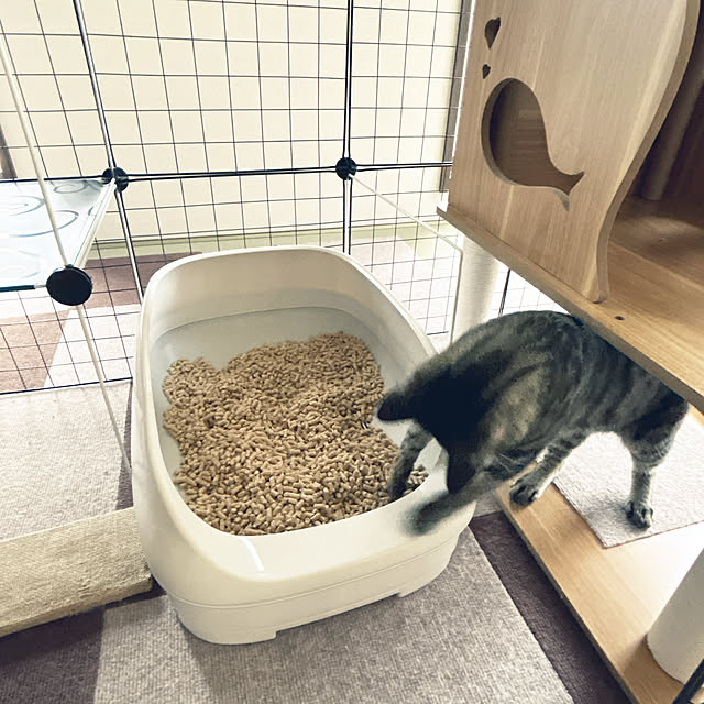 yunyumさんの部屋