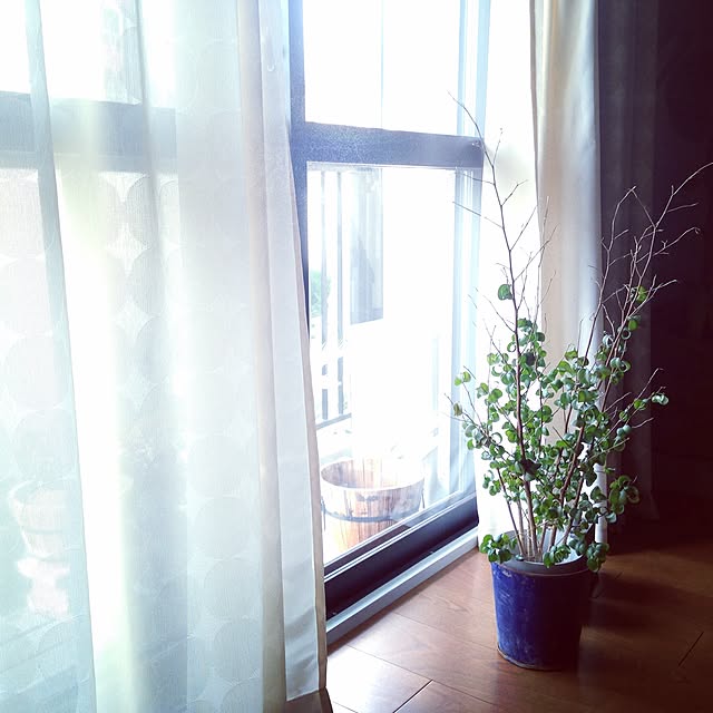 aknb08さんの実例写真