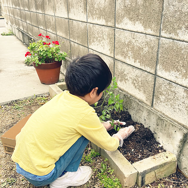 ha_koさんの部屋