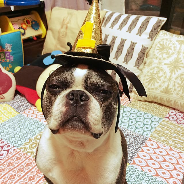 tubutanさんの実例写真