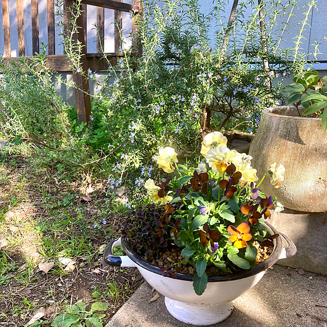 green.green.greenさんの部屋