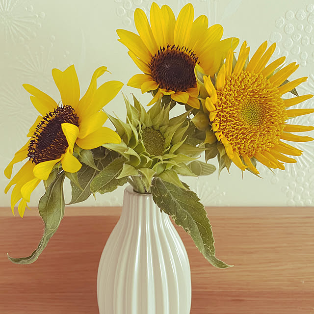 zmzmさんの実例写真