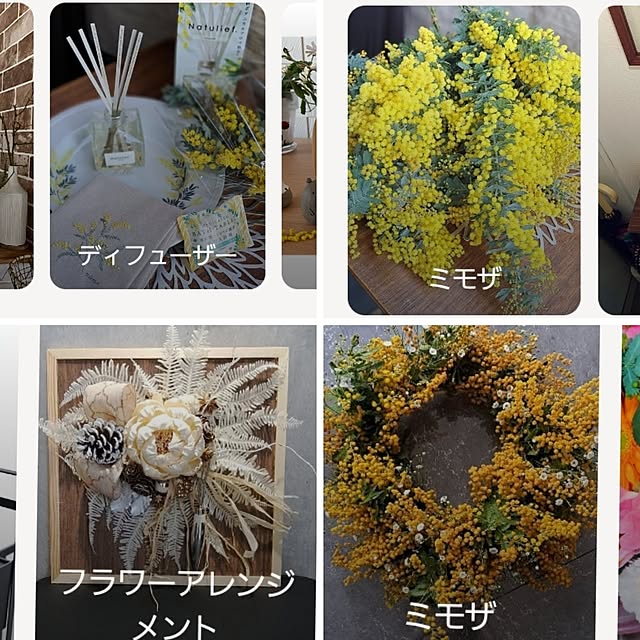 noaさんの実例写真