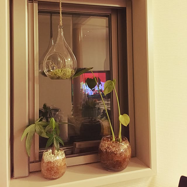 キッチンのインテリア実例 - 2015-02-10 22:43:49