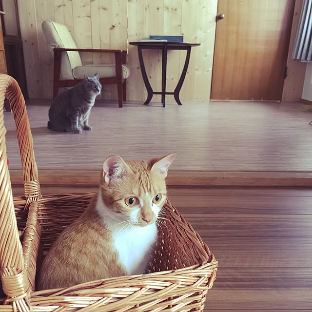 akaneさんの実例写真