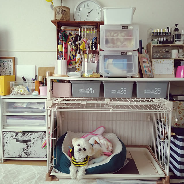 minoさんの実例写真