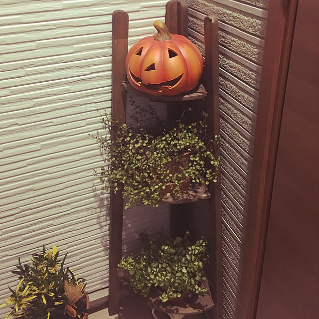 Mikiさんの実例写真