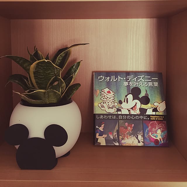 maripiyosukeさんの実例写真