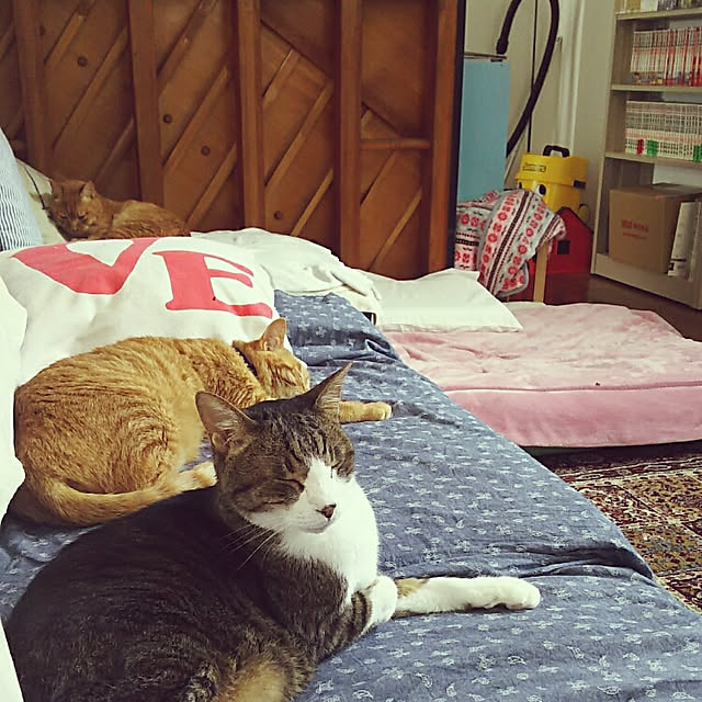 37さんの実例写真
