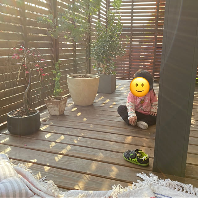 Risaさんの実例写真