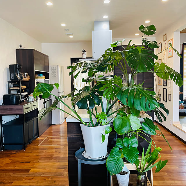 HinaCheiMamさんの部屋